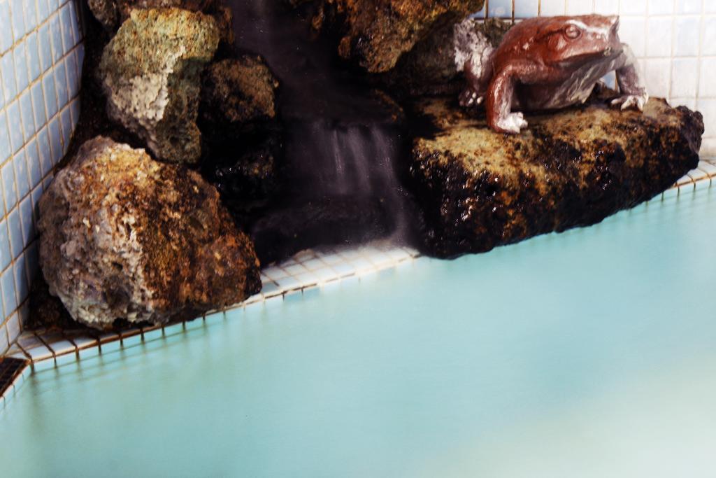 Ryokan Seizan-So Kaminoyama Bilik gambar